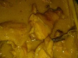 Opor Ayam Special by Jayanti Mayasary