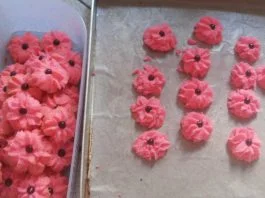 Cookies Praktis by Shaima