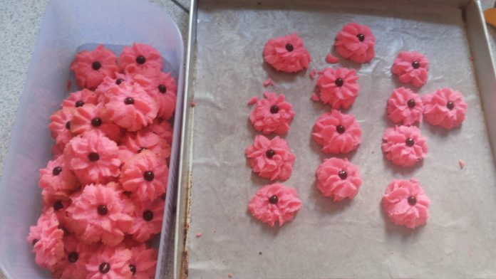 Cookies Praktis by Shaima