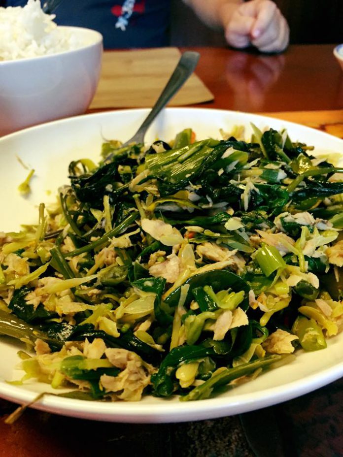 Kangkung Bunga Pepaya dan Tongkol by Angel Mogie Kangkung Bunga Pepaya dan Tongkol by Angel Mogie