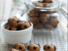 MILO 'DOGGIE' COOKIESMILO 'DOGGIE' COOKIES