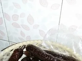 Manisan Terong by Adel Adelyn