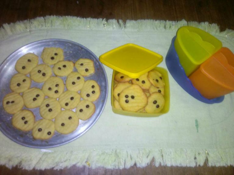 Biskuit Choco Chip by Novita Rose