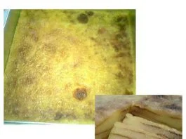 Maksuba by Atika PitaSari