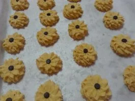 Biskuit Dahlia by Elyne Tay