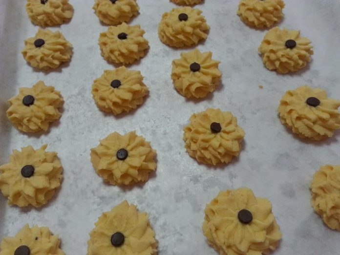 Biskuit Dahlia by Elyne Tay