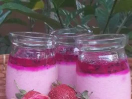 Puding Buah Naga by Shinta Lestari