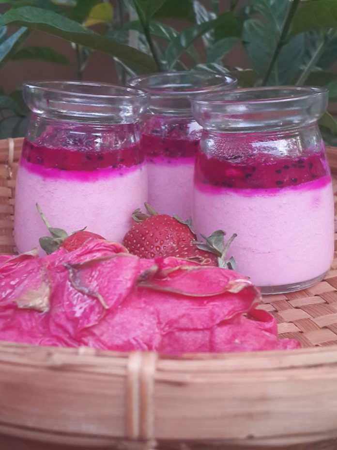 Puding Buah Naga by Shinta Lestari Puding Buah Naga by Shinta Lestari