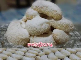 Putri Salju by Mel B Siregar