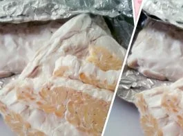 Tempe Homemade by Putri Rara