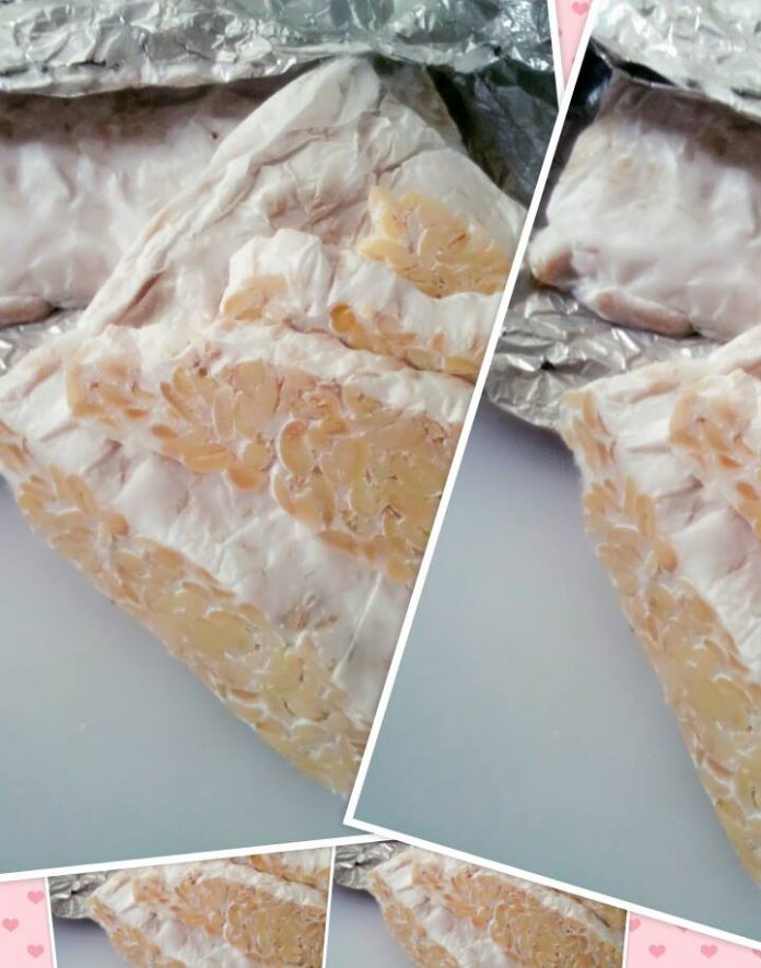 Tempe Homemade by Putri Rara