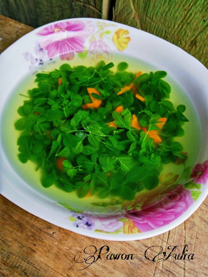 BSBB(Bukan Sayur BeningBiasa) Kelor by Nurfitriana Rosita Dewi BSBB(Bukan Sayur BeningBiasa) Kelor by Nurfitriana Rosita Dewi