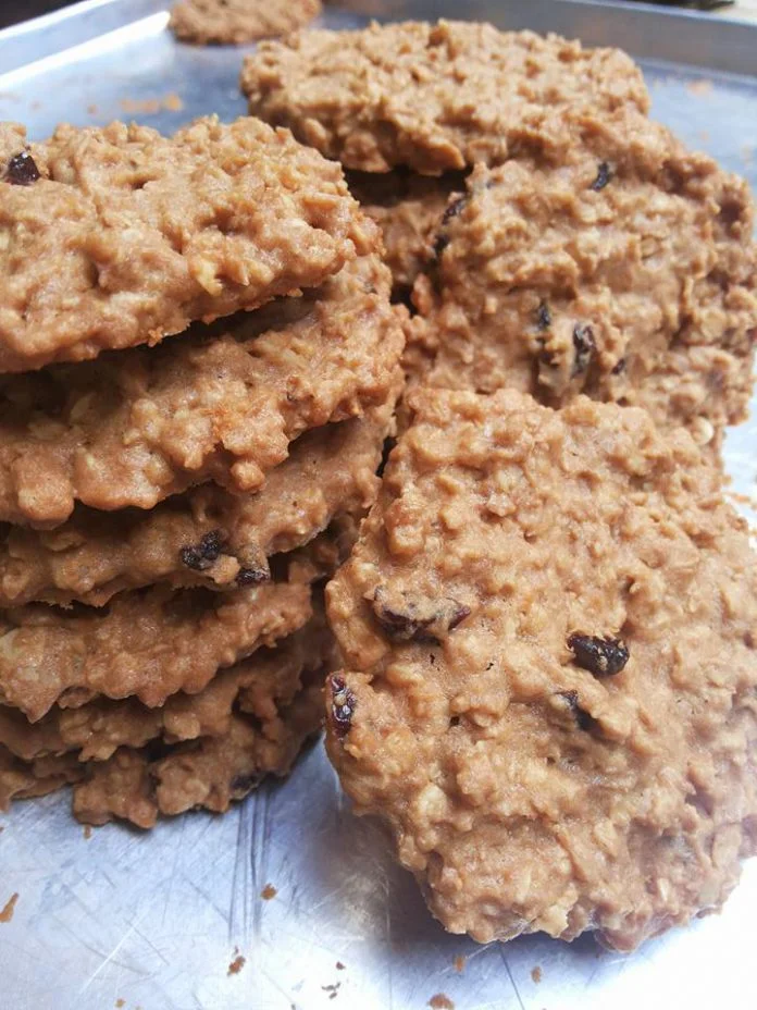 Oatmeal Biskuit by Arista Dewi