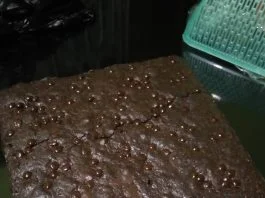 Shiny Crust Brownies by Ardian Wahyu Utami