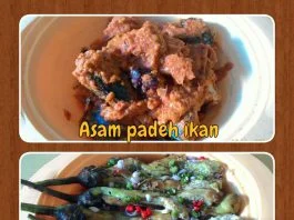 Acar Terong Bakar by Sherly Mumtaaz