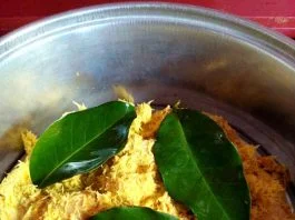 Ayam Goreng Serundeng by Lily Maskoer 5