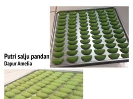 Putri Salju Pandan by Amel Lia