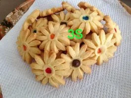 Cookies Nutrijel Rasa Mangga