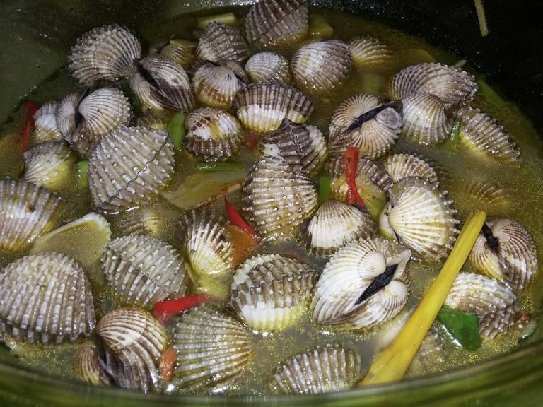 Pindang Kerang Darah by Nima