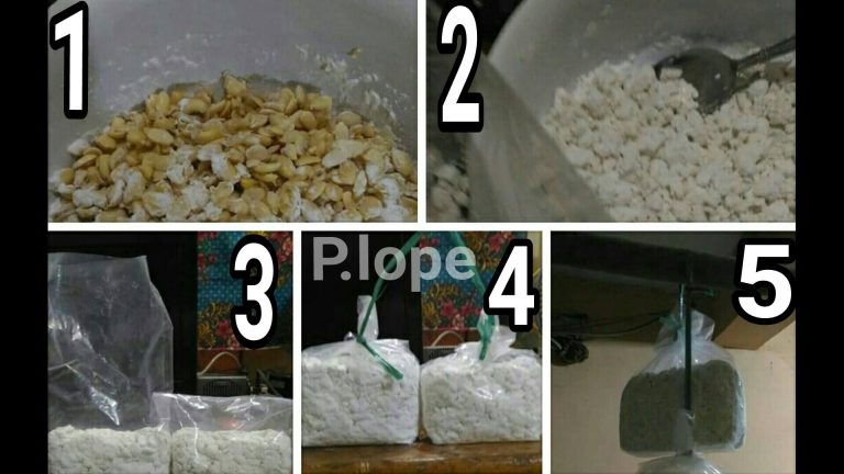 Keripik Tempe by Phery Lope Ningsih