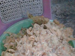 Peyek Dawu (Ebi) by Binty Noona Ichi