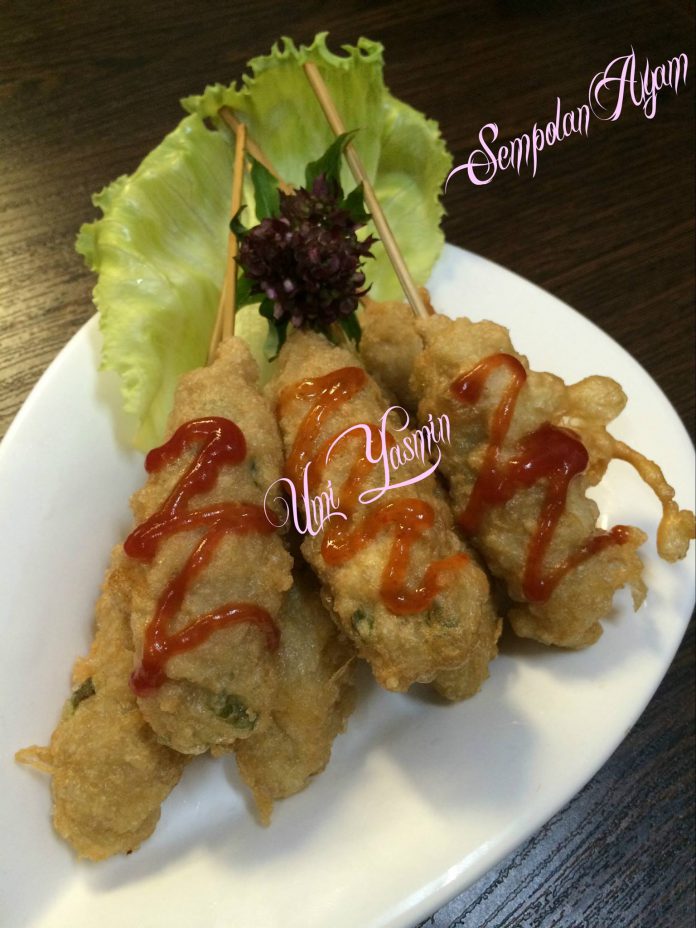 Kesukaanku & anak anak Sempolan Ayam by Fah Umi Yasmin