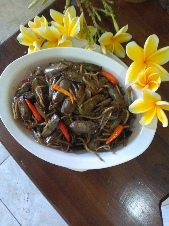 Kerang (tebalan)Bumbu Rujak by Rini Setyowati
