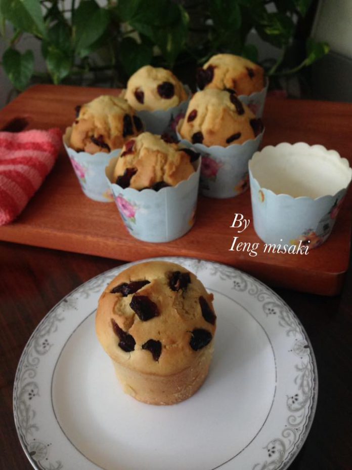 Cranberry cup Muffin by Ieng Misaki 1 Cranberry cup Muffin by Ieng Misaki