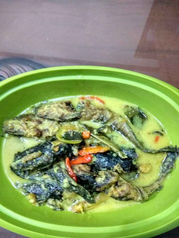 Pesmol Ikan Lele by Titi Lestari