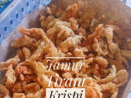 Jamur Krispi by Sindhi Faristin Putri