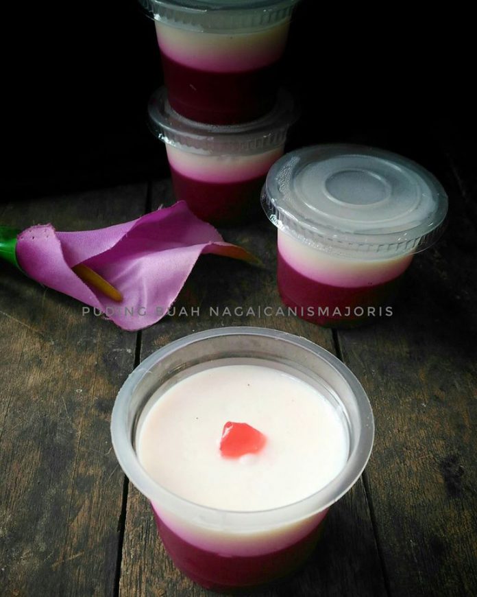 Puding Buah Naga Lapis Susu By Asih Murtiani