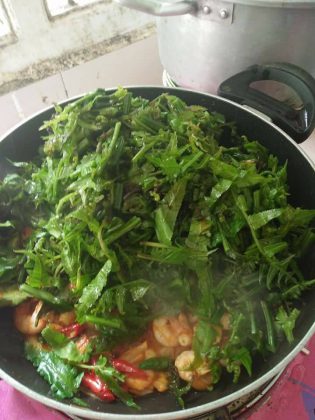 Sayur Udang Pakis by Ny Wilky 1