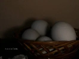 Telur Asin Homemade by Uniqee Pricillaa Prameswarii