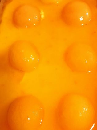 Tart Puding Aprikot Lebah by Doni Kusumah (Mang Odon) 2