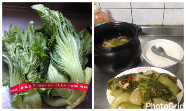Fermentasi Sawi Pahit by Saikun S