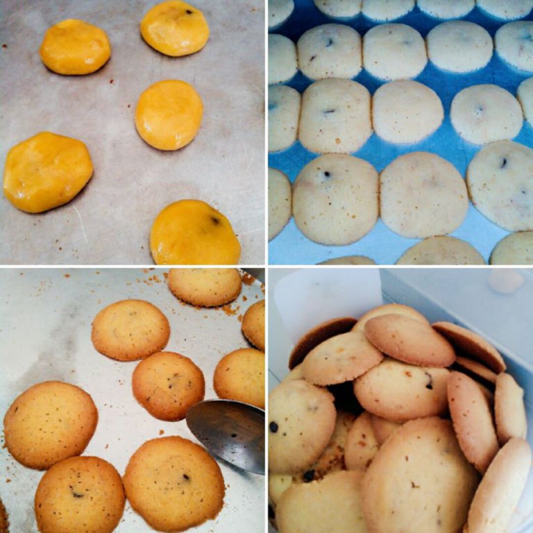 Chip Cookies by Tj Twinklebaby