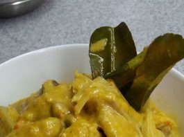 Gulai Cubadak (gulai nangka padang) by Ashanty Uwais