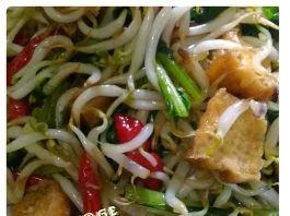 Tumis Toge by Wulan Isma