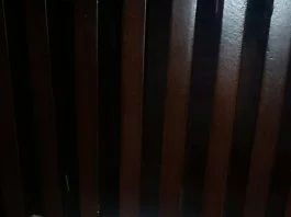 Mangut Iwak Pe (Ikan Pari Asap) by Octa Wulandari