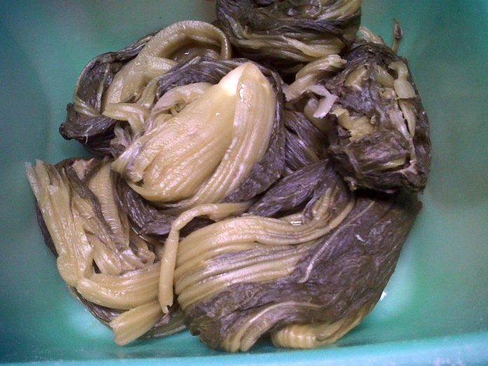 Sawi Asin by Erni Saldy Sidabalok