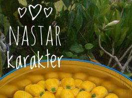 Nastar Karakter by Ndarie Kenzo Pranata