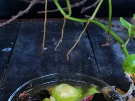 Bening Oyong by Uniqee Pricillaa Prameswarii