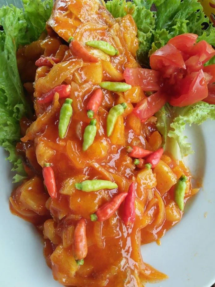 Ikan kakap Merah Saos Padang by Ummul Khair