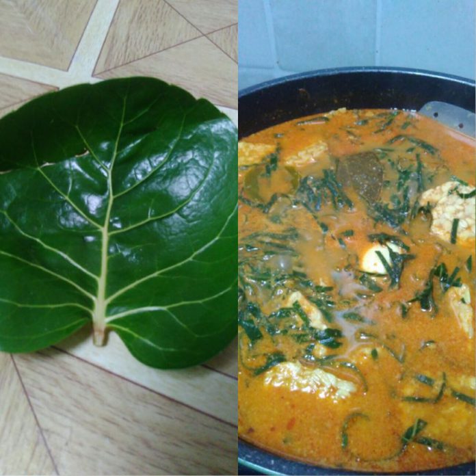 Gulai Tapak Leman by Aini Ridho Tullah