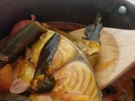 Kari Ikan Tengiri by Ninie April