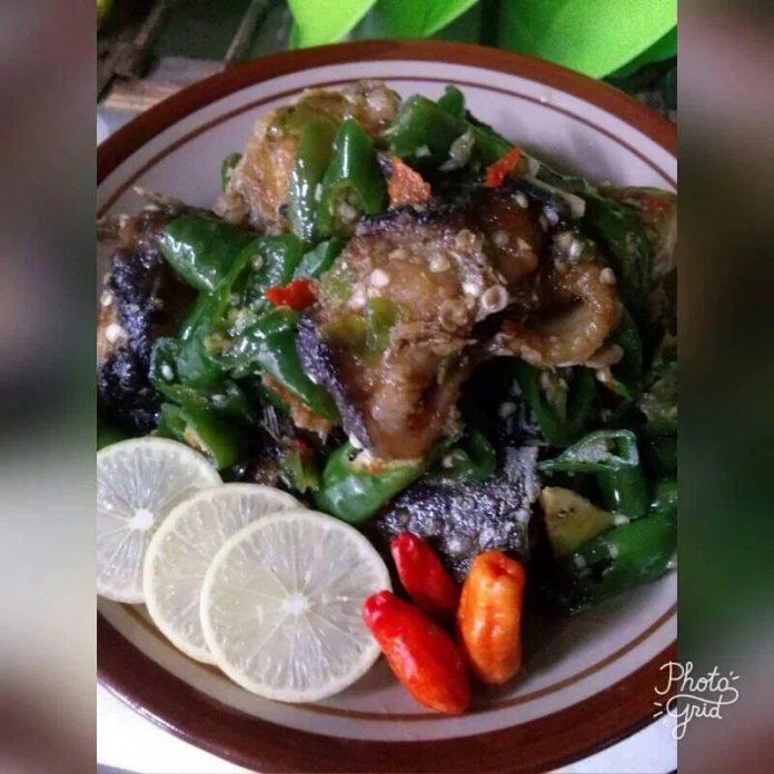 Lele Cabe Hijau by Susi Susmirah