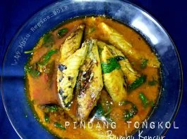 Pindang Tongkol Bumbu Kencur by Mhiu Regina Sitohang