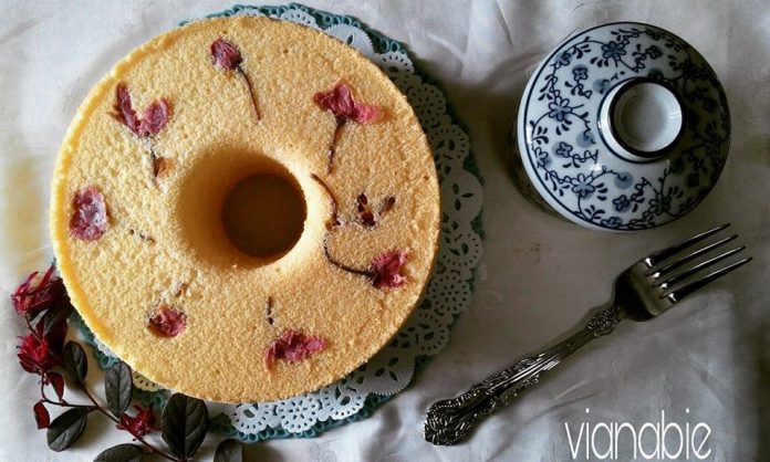 Pink Blossom Chiffon Cheese by Vian Ninethynine Blues