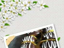 Almond "Cemplon" Cookies by Winaz Sadono