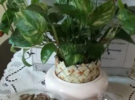 Semprit Sagu Oreo by Yushita Ika Suryanti